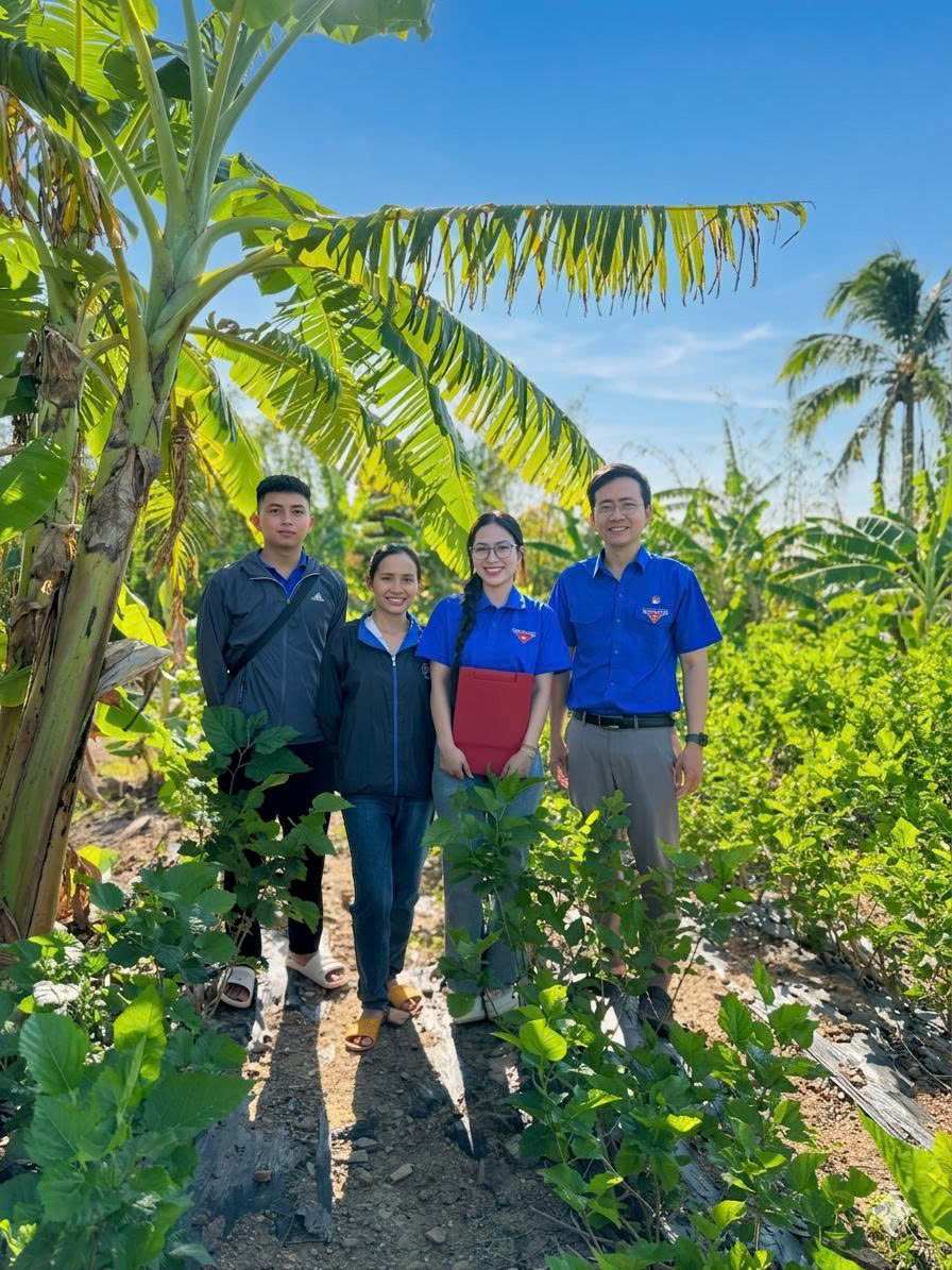 NHỮNG MẦM XANH TRÊN ĐẤT EA NA